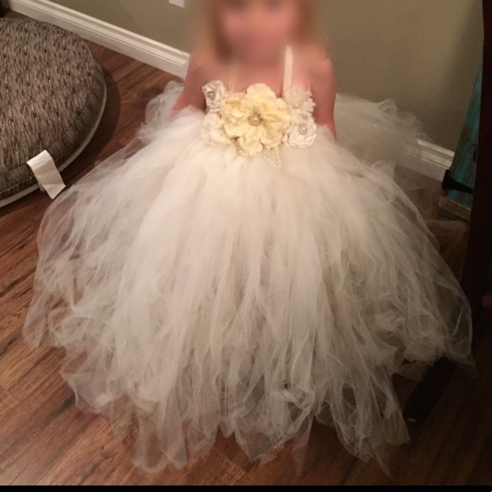 Gorgeous Flower girl dress size 3T-5T